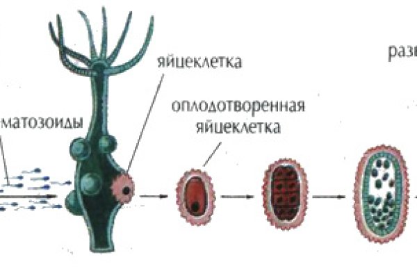 Кракен даркнет зайти
