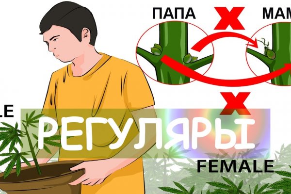 Craken что это