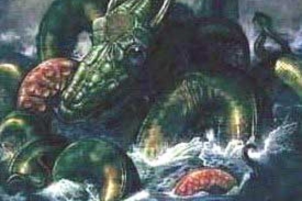 Kraken 13 at com