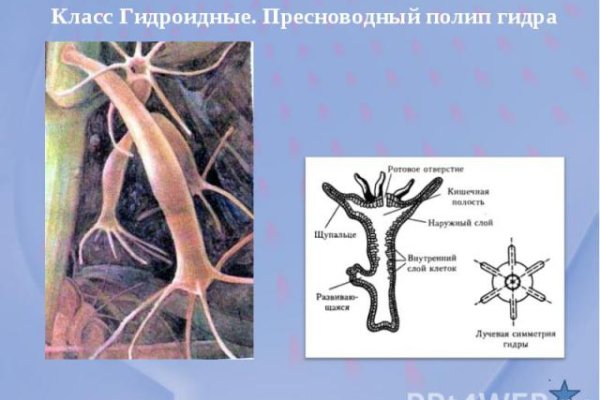 Кракен вход krakens13 at