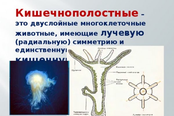 Кракен даркнет в тор