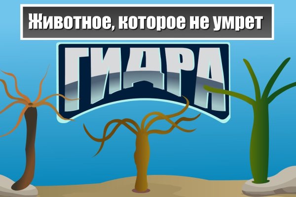 Kra45.cc Вход на сайт главная страница