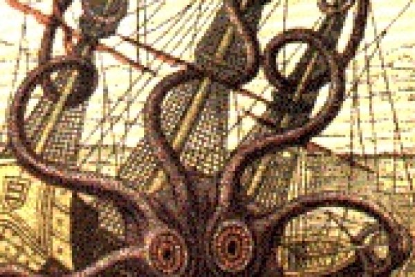 Kraken 12at