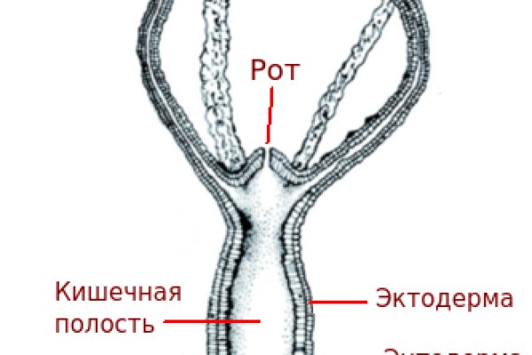 Сайт кракен через тор