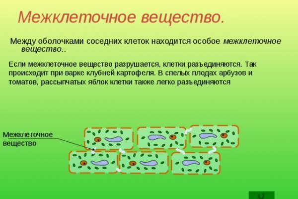 Ссылка адрес на кракен