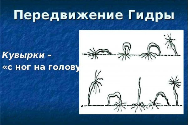 Кракен актуальная ссылка