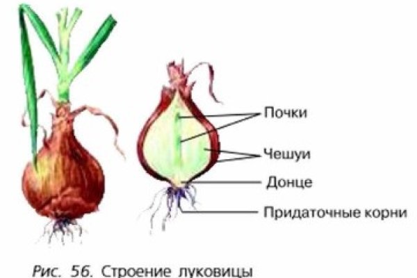 Кракен вход