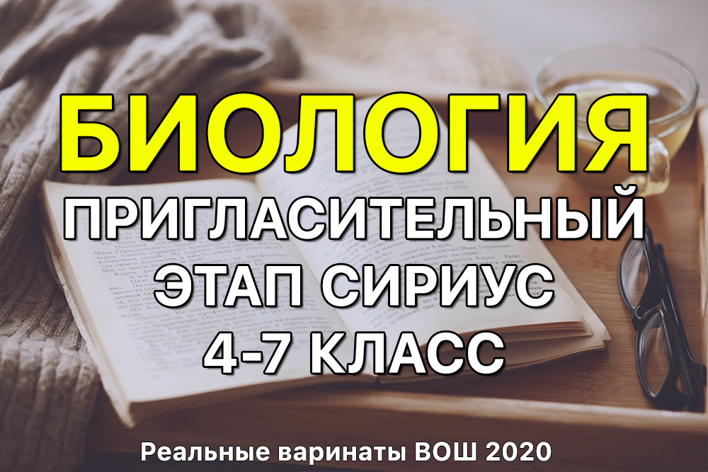 Kraken зеркало даркнет