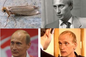 Как вывести деньги с kraken